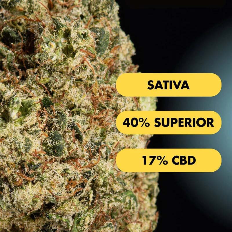 Only Grams Superior Blend Blüte Lemontos