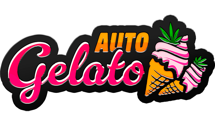 420 Fast Buds Cannabissamen Gelato Automatic 420 Fast Buds Cannabissamen Gelato Automatic