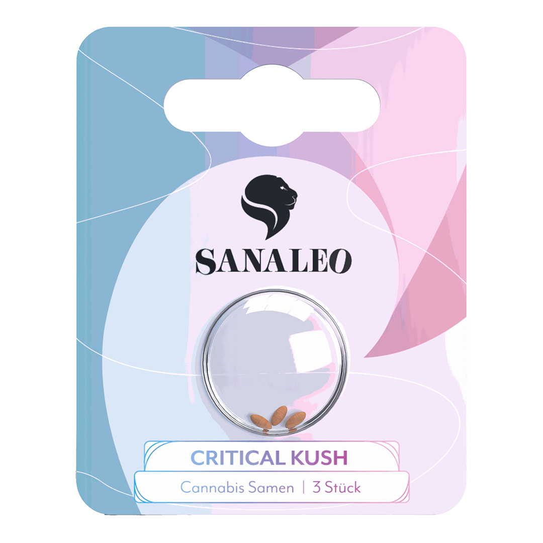 Sanaleo Cannabissamen Critical Kush Sanaleo Cannabissamen Critical Kush