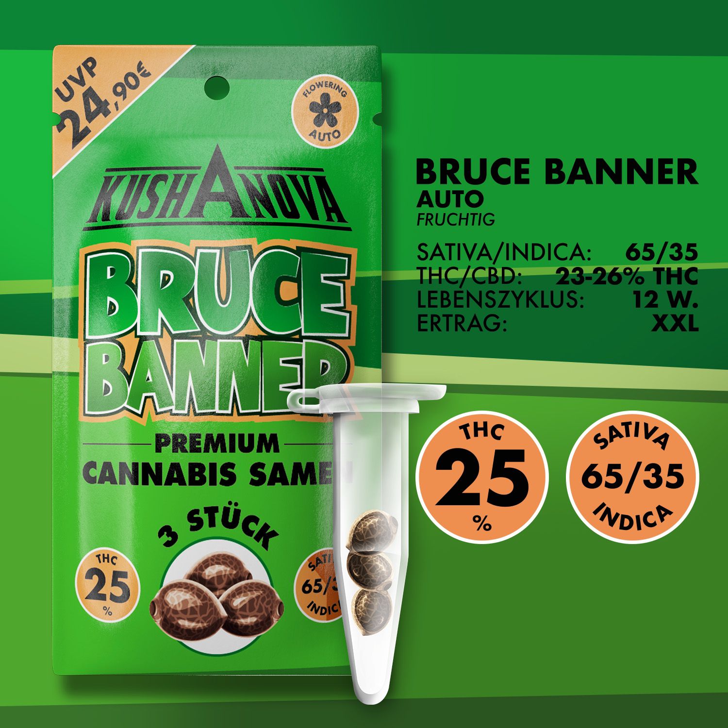 Kushanova Cannabissamen Bruce Banner Kushanova Cannabissamen Bruce Banner