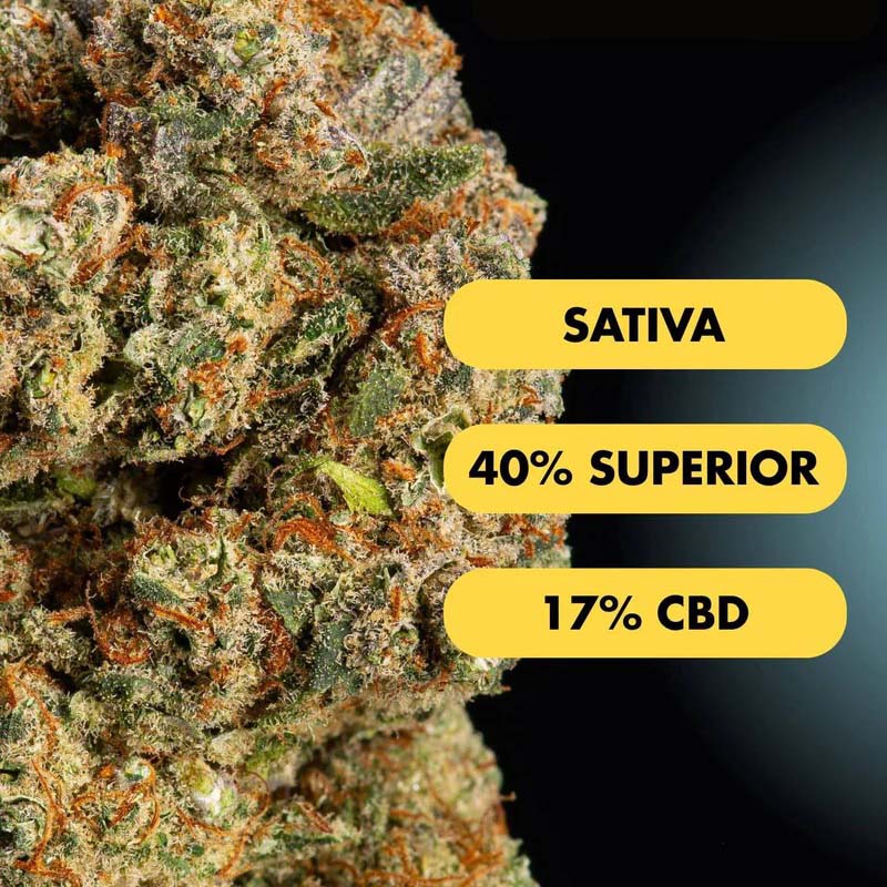 Only Grams Superior Blend Blüte Cherry Pie