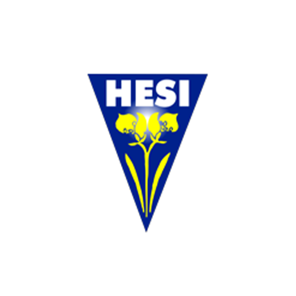 HESI HESI