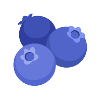 icon_blaubeere