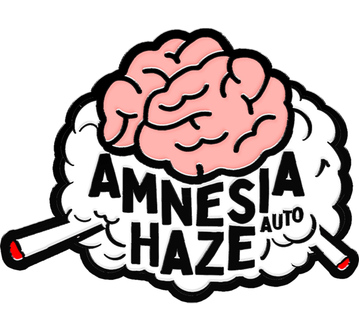 420 Fast Buds Cannabissamen - Amnesia Haze Auto
