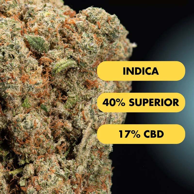 Only Grams Superior Blend Blüte OG Cookies