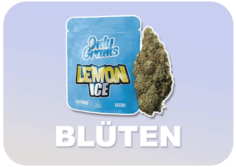 Button zu der Blüten Kategorie