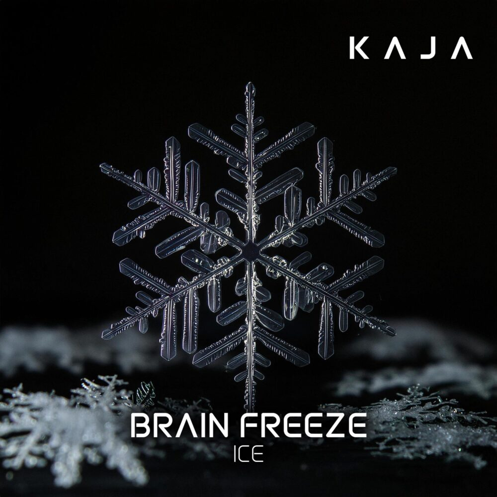 Kaja Shisha Tabak Brain Freeze 200g Kaja Shisha Tabak Brain Freeze 200g