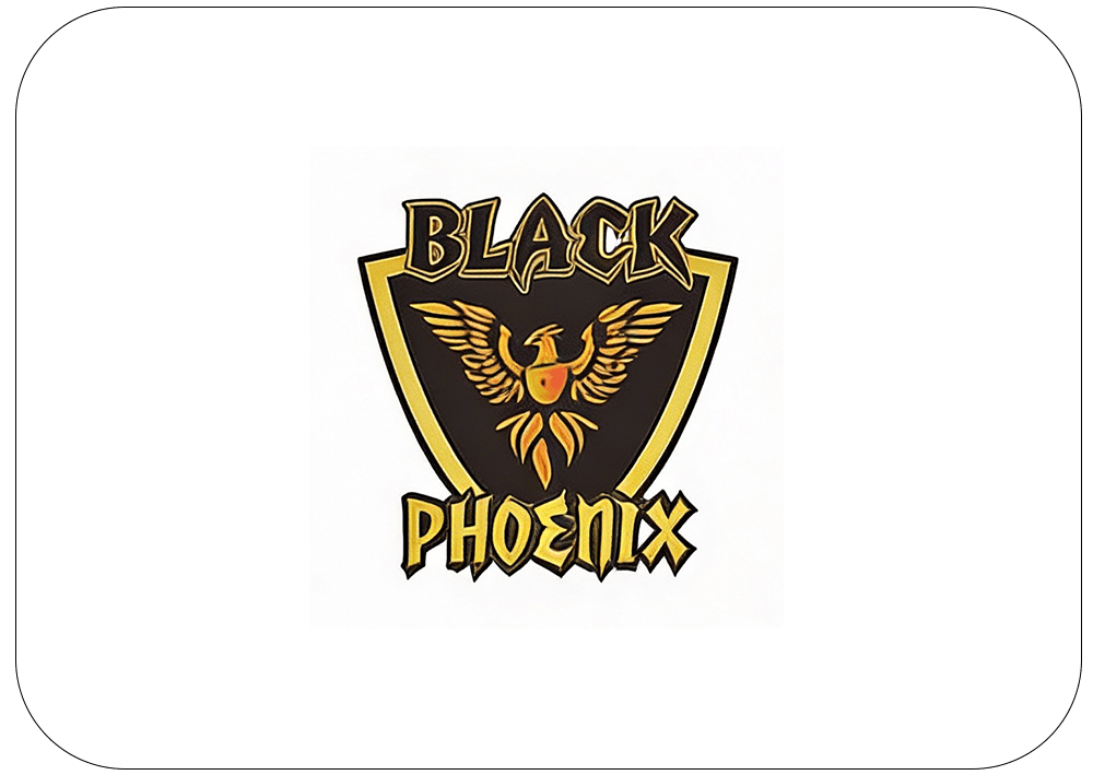 Button_black_phoenix