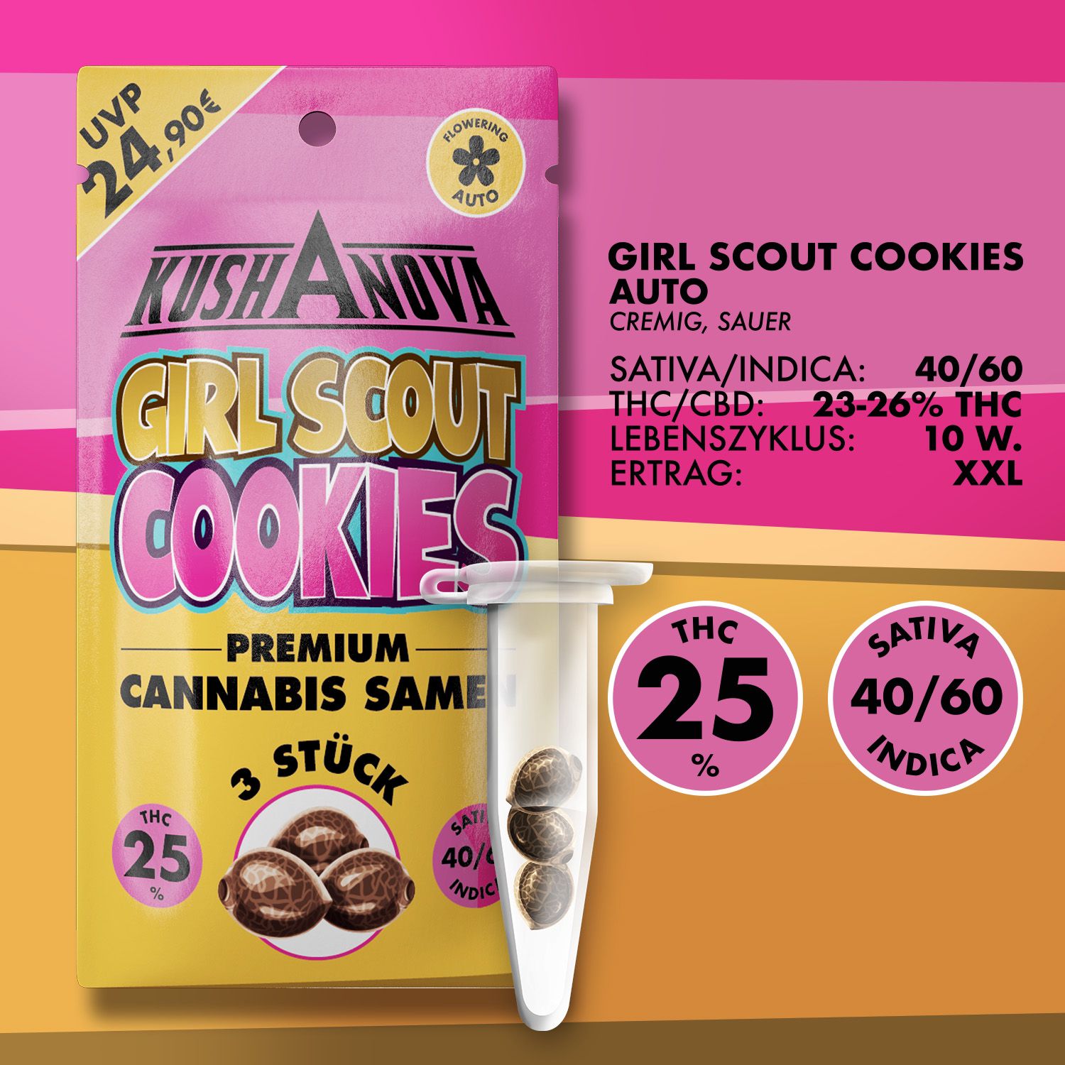 Kushanova Cannabissamen Girl Scout Cookies Kushanova Cannabissamen Girl Scout Cookies