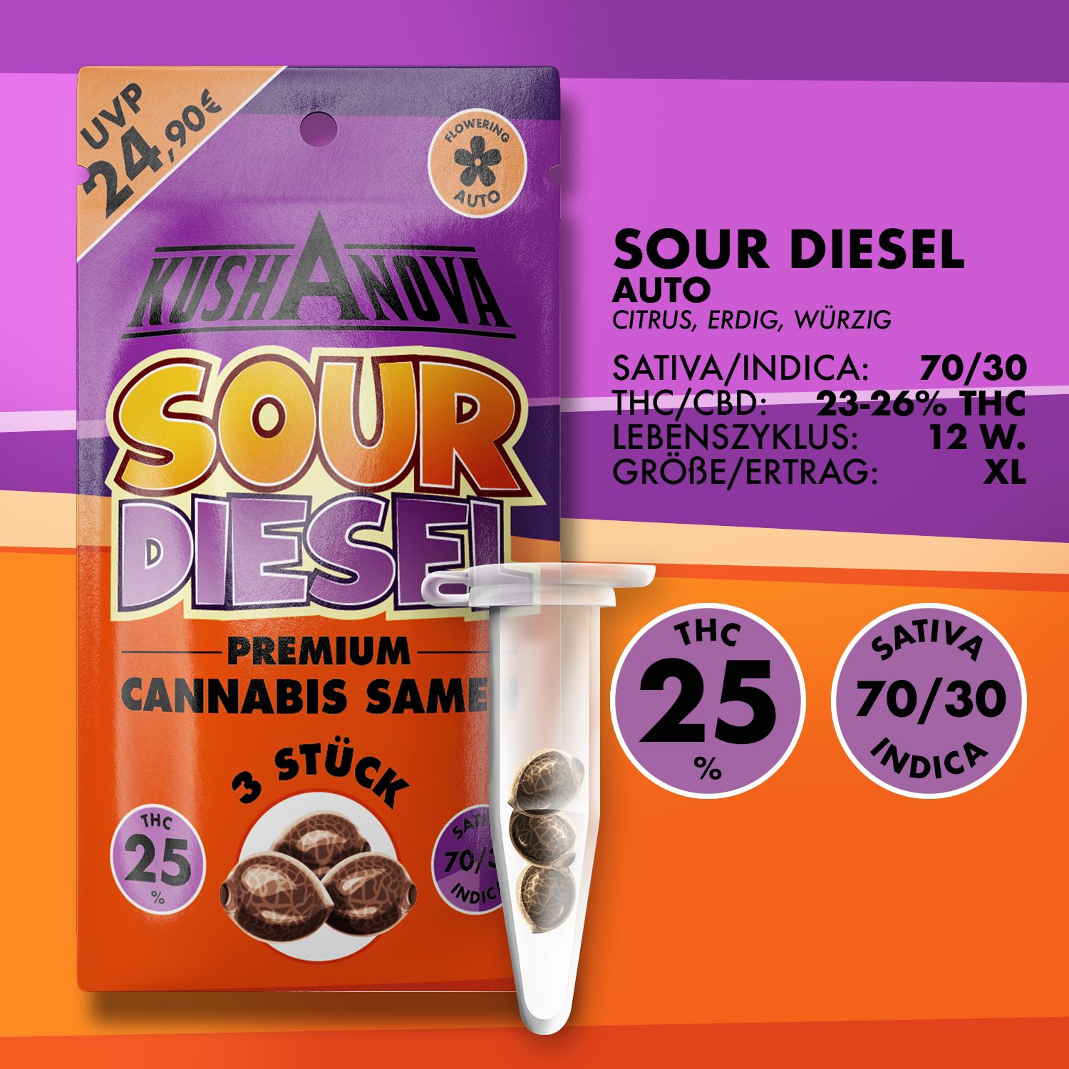 Kushanova Cannabissamen Sour Diesel Kushanova Cannabissamen Sour Diesel