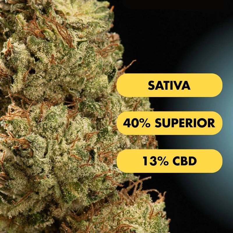 Only Grams Superior Blend Blüte Grapefruit Punch