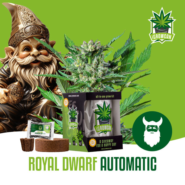 Igrowcan Samenset Royal Dwarf Automatic Igrowcan Samenset Royal Dwarf Automatic