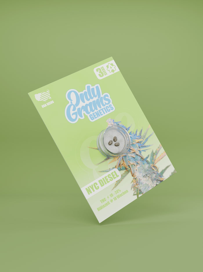 Only Grams Cannabissamen - NYC Diesel