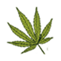 icon_kush