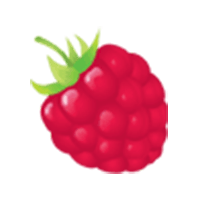 icon_himbeere
