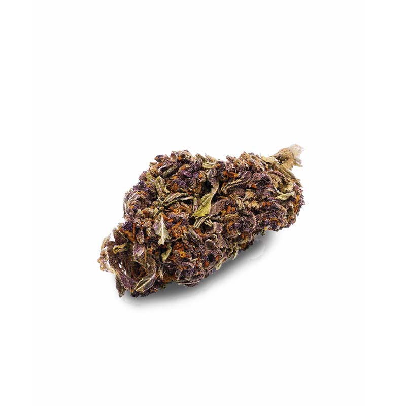I Love Pot CBD Blüte - Purple Haze 4% 1g