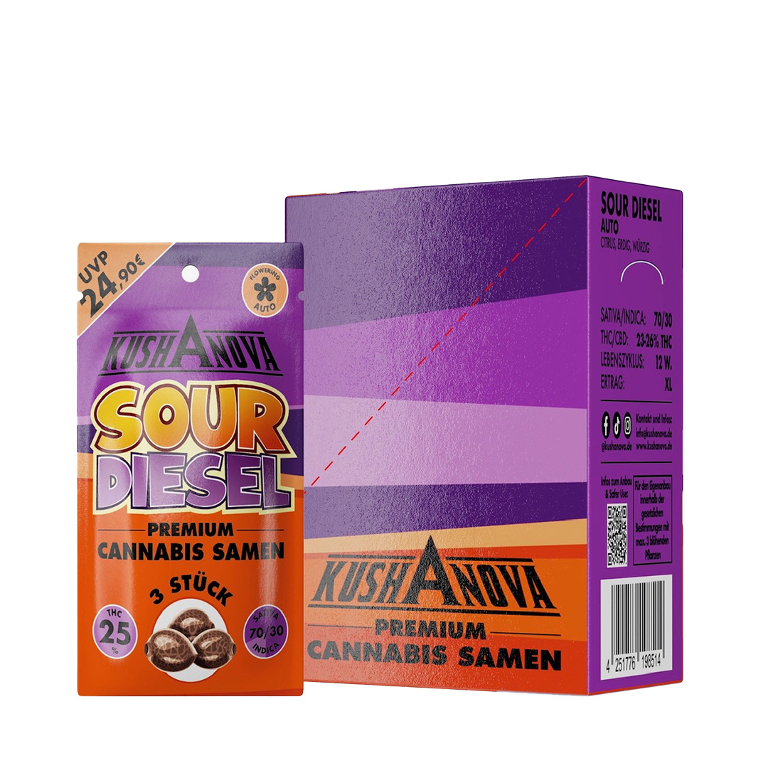 Kushanova Cannabissamen Sour Diesel Kushanova Cannabissamen Sour Diesel