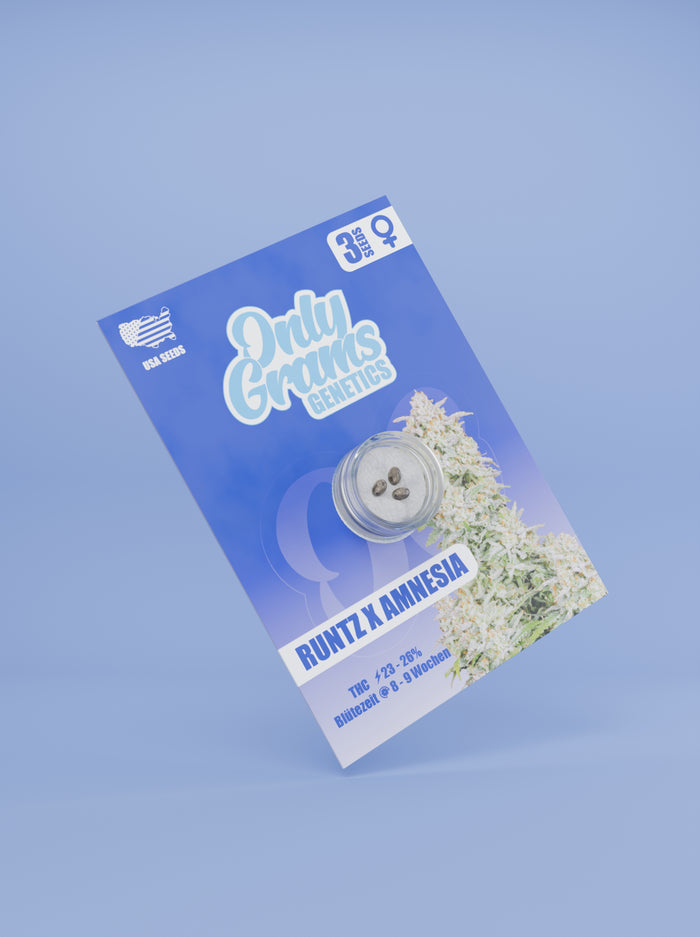 Only Grams Cannabissamen Runtz X Amnesia Only Grams Cannabissamen Runtz X Amnesia