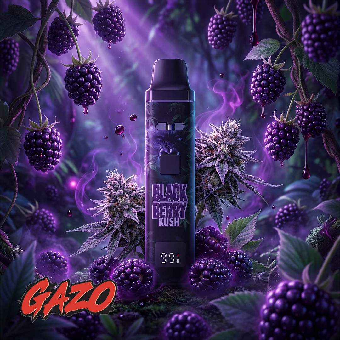 GZUZ - GAZO H3BTA Pro Vape - Blackberry Kush 1ml GZUZ - GAZO H3BTA Pro Vape - Blackberry Kush 1ml