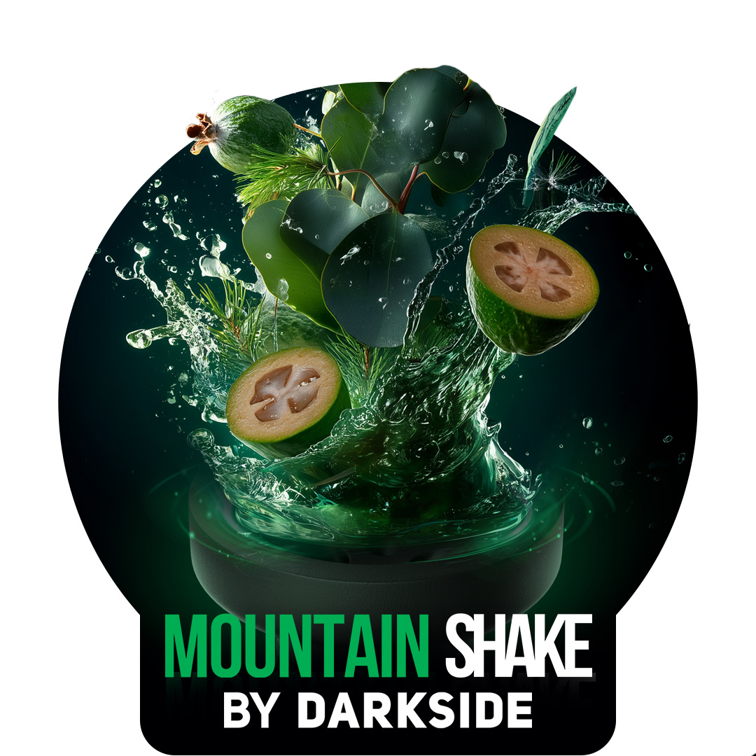 Darkside Shisha Tabak Mountain Shake 120g