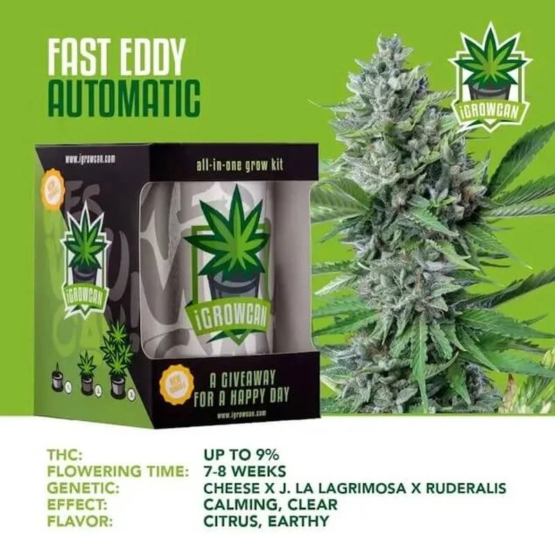 iGrowCan Samenset - Fast Eddy (CBD) Automatik