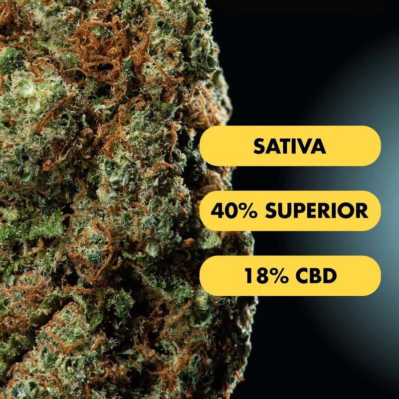 Only Grams Superior Blend Blüte Lemon Ice Only Grams Superior Blend Blüte Lemon Ice