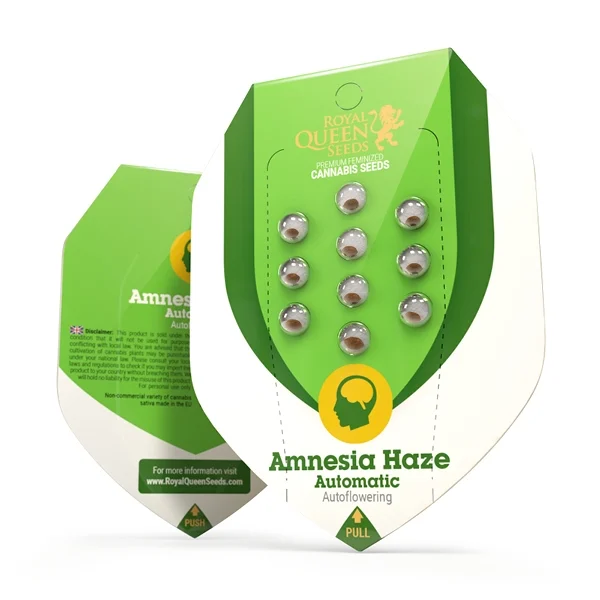 Royal Queen Seeds Amnesia Haze Cannabissamen Automatic
