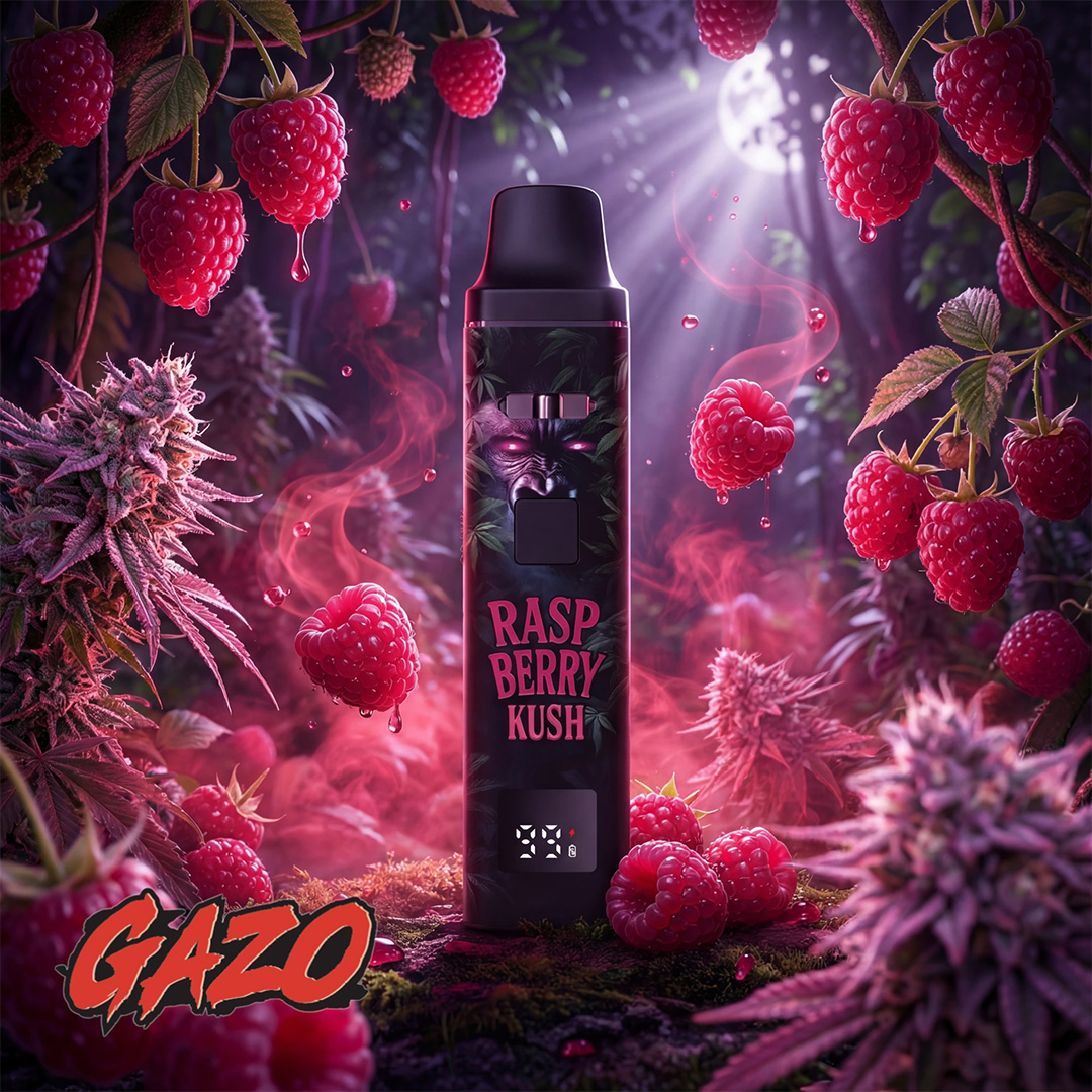 GZUZ - GAZO H3BTA Pro Vape - Raspberry Kush 1ml GZUZ - GAZO H3BTA Pro Vape - Raspberry Kush 1ml