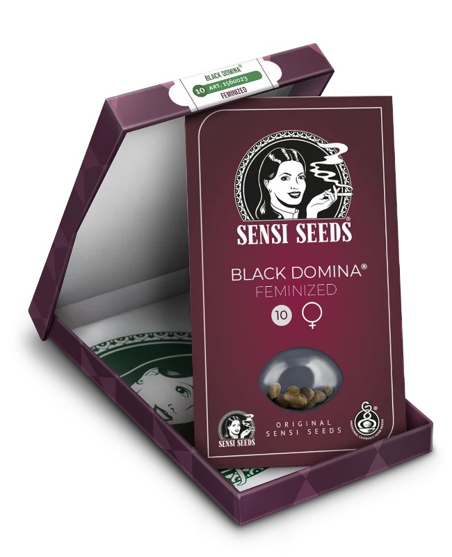 Sensi Cannabis Samen Black Domina Sensi Cannabis Samen Black Domina