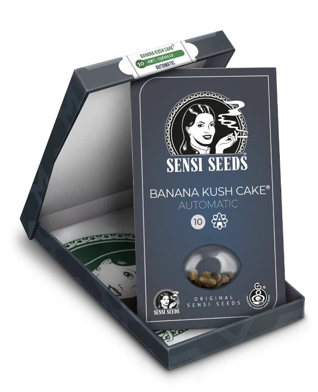 Sensi Cannabis Samen Banana Kush Cake Automatic