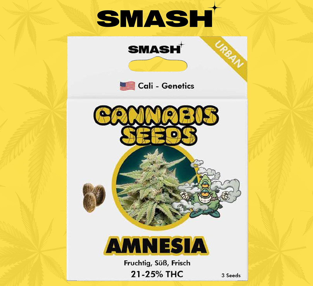 Smash Cannabissamen Amnesia Smash Cannabissamen Amnesia