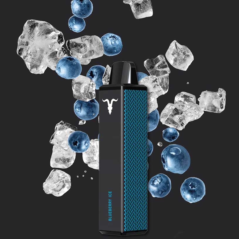 Ignite V600 - Vape Einweg E-Zigarette  - Blueberry Ice 2% Nikotin