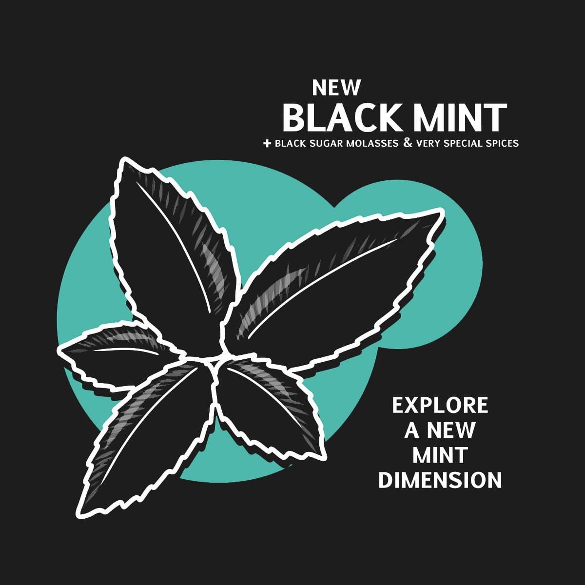 HookahSqueeze- Black Mint 25g (Tubes)