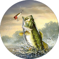 user_profile