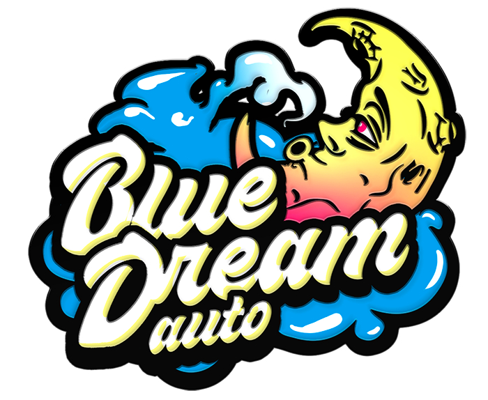 420 Fast Buds Cannabissamen Blue Dream Automatic 420 Fast Buds Cannabissamen Blue Dream Automatic