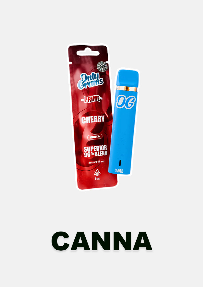 kategorie_button_startseite_hochkant_canna kategorie_button_startseite_hochkant_canna