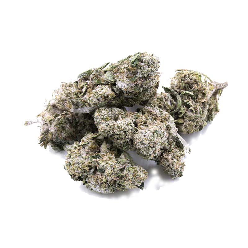 I Love Pot CBD Blüte Snow Kush 1g