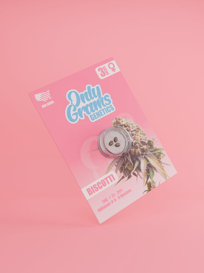 Only Grams Cannabissamen Biscotti Only Grams Cannabissamen Biscotti