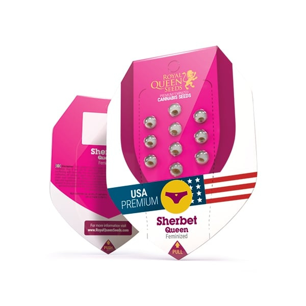 Royal Queen Seeds Cannabissamen Sherbert Queen Femenized Royal Queen Seeds Cannabissamen Sherbert Queen Femenized