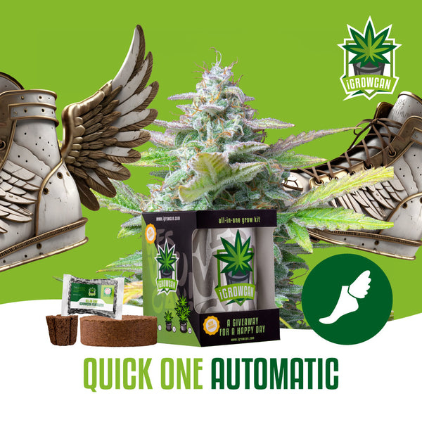 Igrowcan Samenset Quick One Automatic Igrowcan Samenset Quick One Automatic