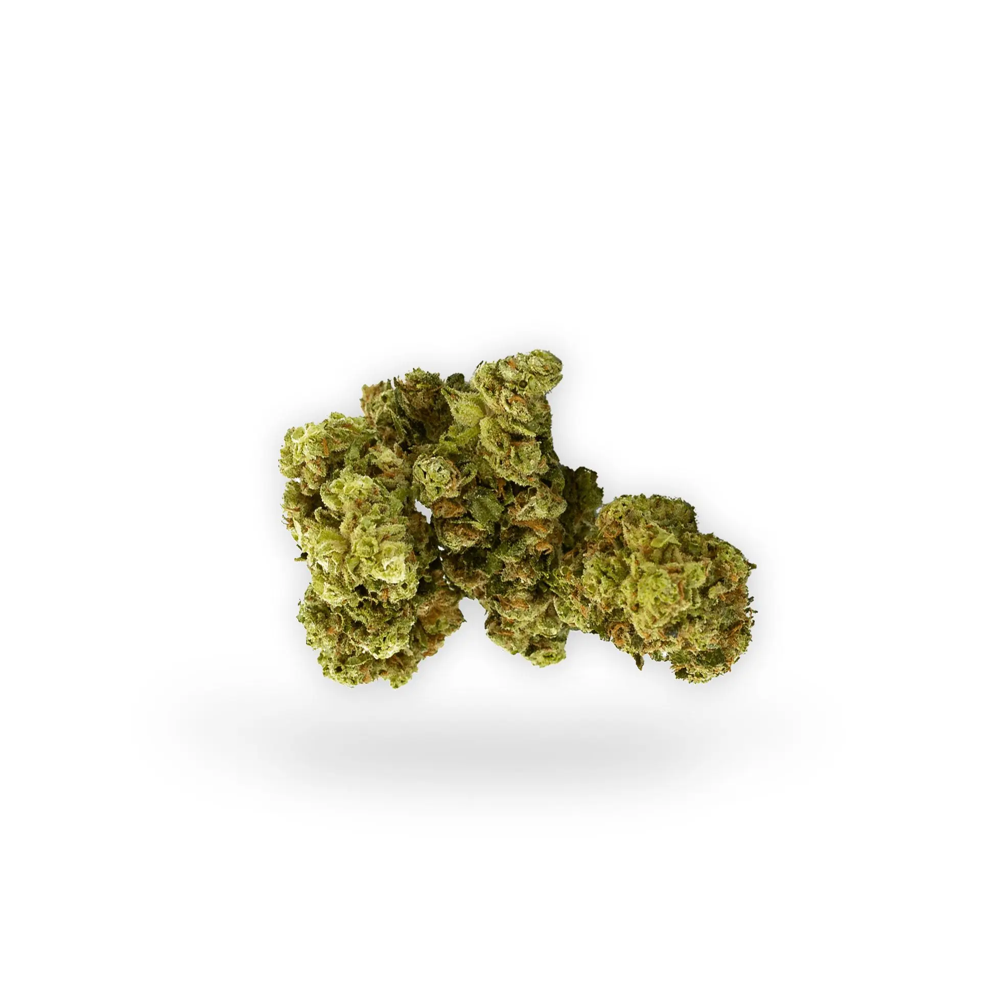 Sanaleo CBD Blüte Silver Haze 2g Sanaleo CBD Blüte Silver Haze 2g