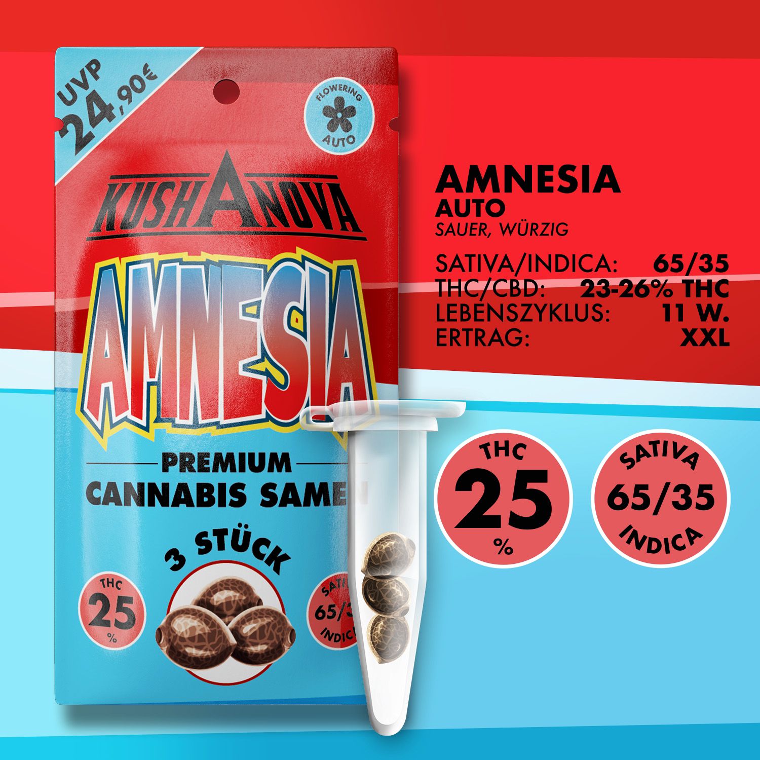 Kushanova Cannabissamen Amnesia Kushanova Cannabissamen Amnesia