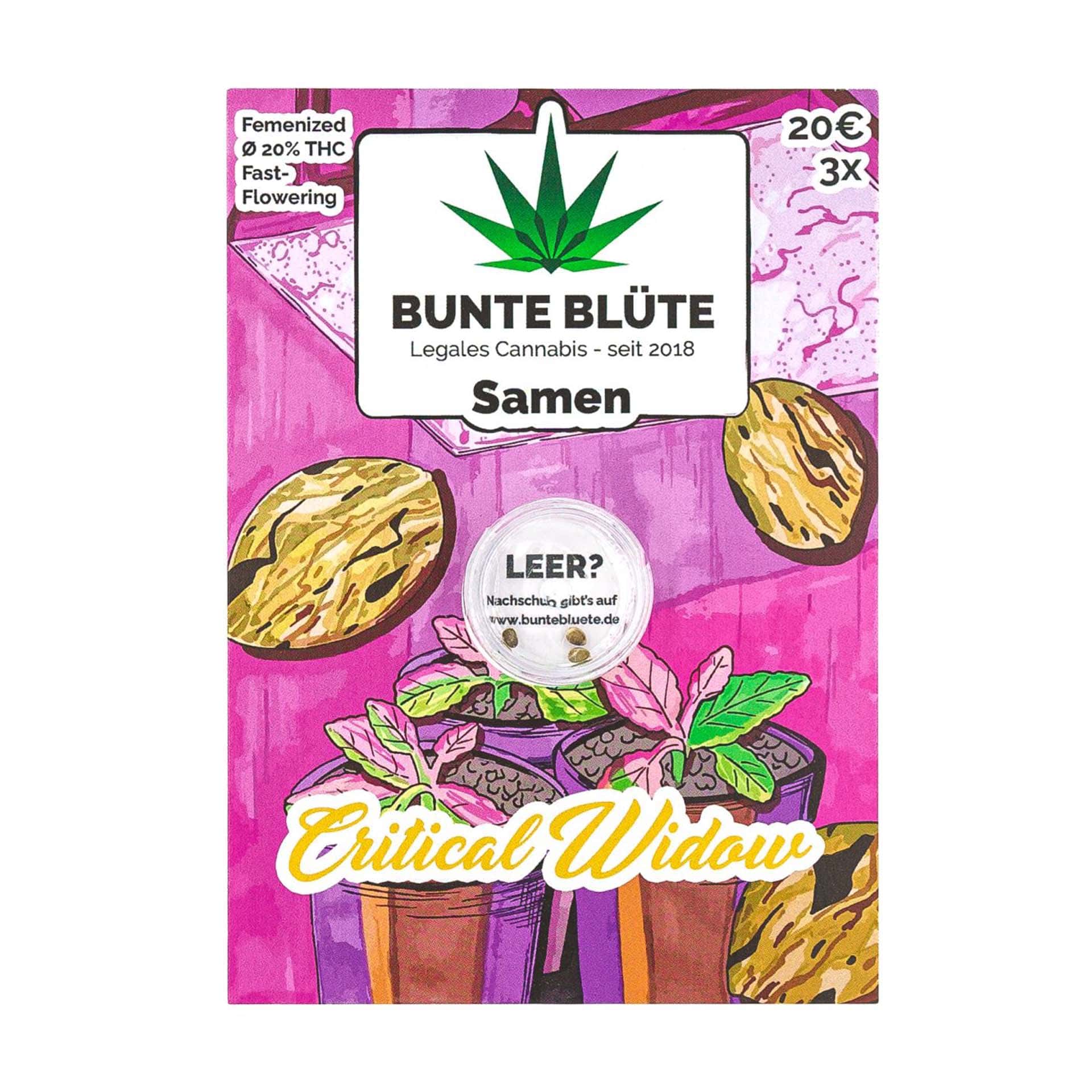 Bunte Blüte Cannabissamen Critical Widow Bunte Blüte Cannabissamen Critical Widow