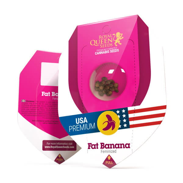 Royal Queen Seeds Cannabissamen Fat Banana Femenized Royal Queen Seeds Cannabissamen Fat Banana Femenized