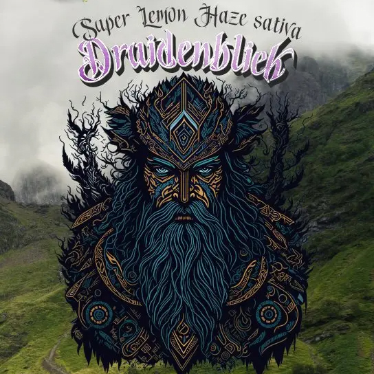 Highclans Superior Blend Vape Druidenblick 1ml