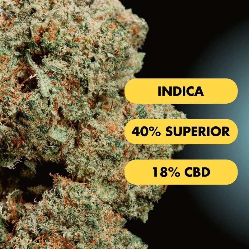Only Grams Superior Blend Blüte The White