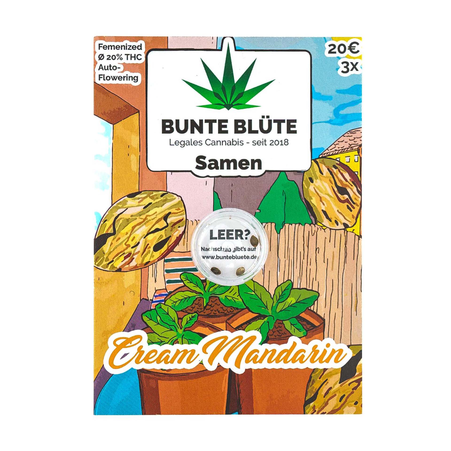 Bunte Blüte Cannabissamen - Cream Mandarin