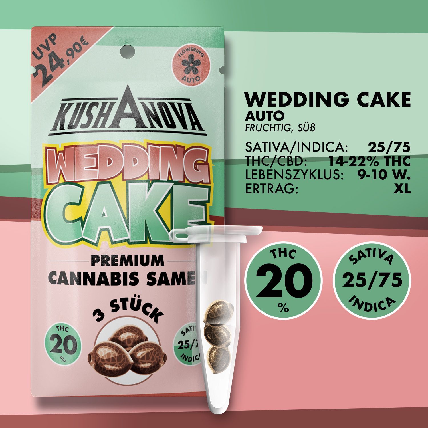 Kushanova Cannabissamen Wedding Cake Kushanova Cannabissamen Wedding Cake