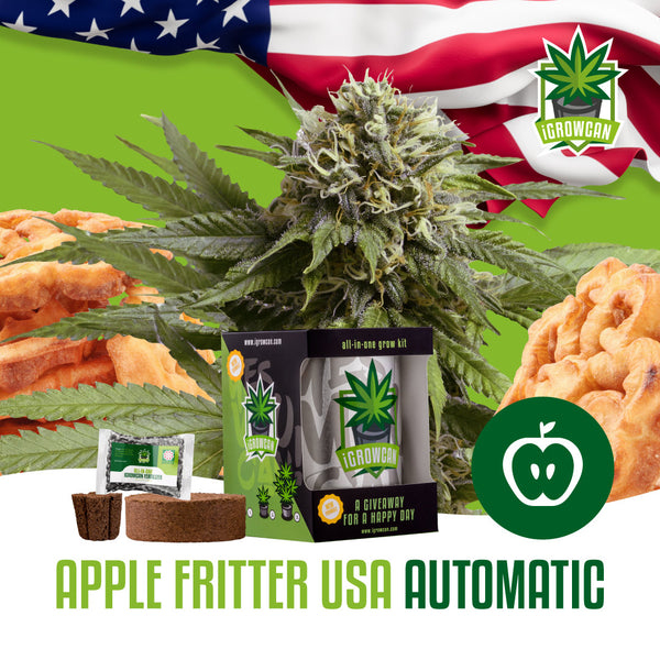 Igrowcan Samenset Apple Fritter Automatic Igrowcan Samenset Apple Fritter Automatic