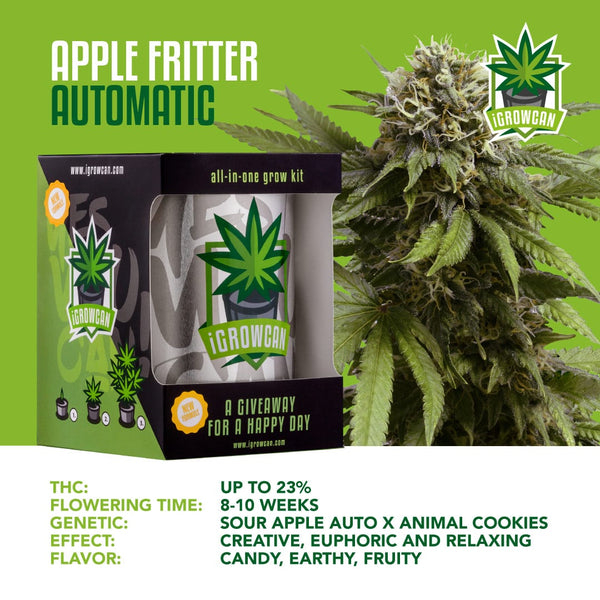 Igrowcan Samenset Apple Fritter Automatic Igrowcan Samenset Apple Fritter Automatic